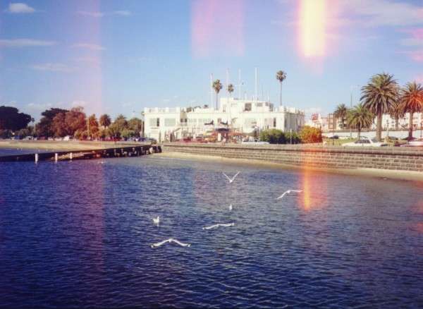 kilda_birdsreddish.jpg
