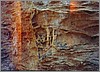 coast_fossilizedroot.jpg