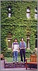 ivy_walls.jpg