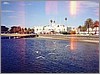 kilda_birdsreddish.jpg