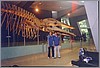 museum_whale.jpg