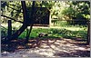 park_kangaroo.jpg