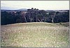 ranch_field.jpg