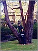tree_climb.jpg