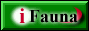 Fauna