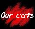 Our cats