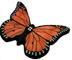 Butterflys