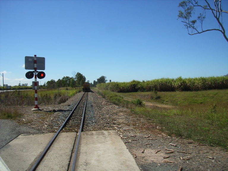 Cane train, watch out they're everywhere!