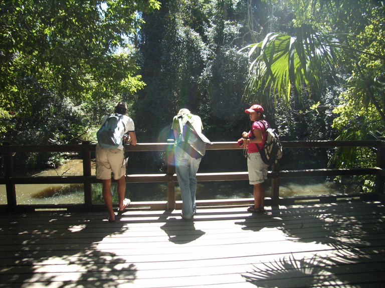 Gevonden! Oh nee, het zijn schildpadden, da's ook goed...
