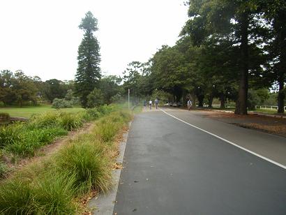 Lekker brede fietspaden door het hele park.