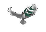 Goto The FSP Homepage