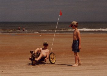 Banana peel bike