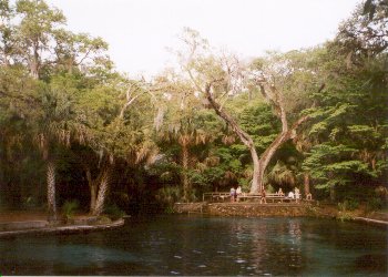 Juniper Springs Pool