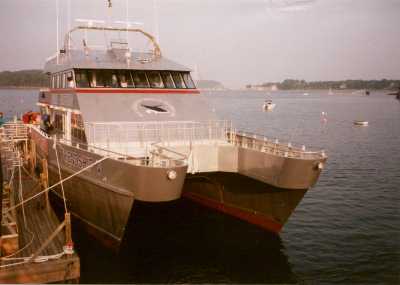 Katamaran Whale Watcher