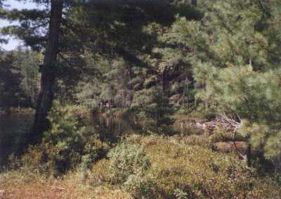 Little Long Pond