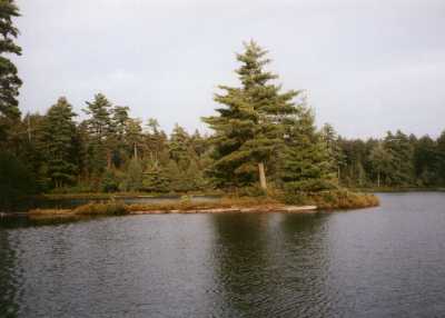 Little Long Pond