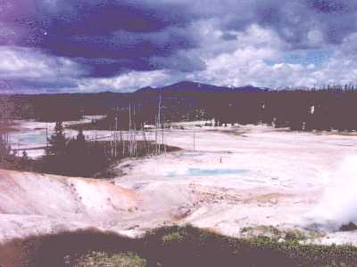 Norris Geyserbasin