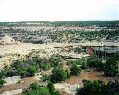 Natural Bridge
