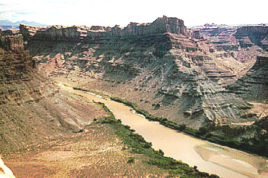 Spanish Bottom