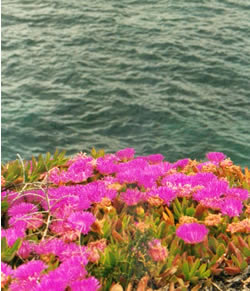 Idylle am Meer