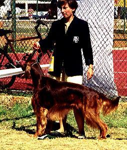 Huilaco's Sporting Life