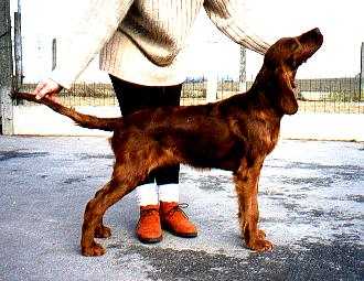 Vicary's Ufton at 5 months