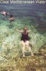 thm_CLEARWATER10001.jpg