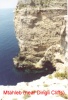 thm_DINGLI_20001.jpg