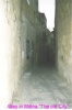 thm_MDINA_10001.jpg
