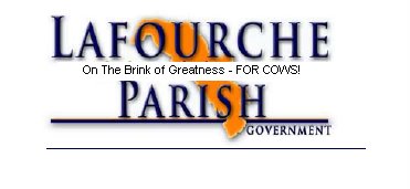 On the Brink.jpg