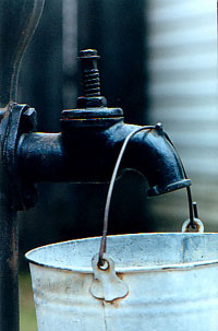 Bucket
