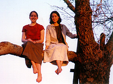 Picnic in Denton