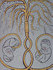 Entwined