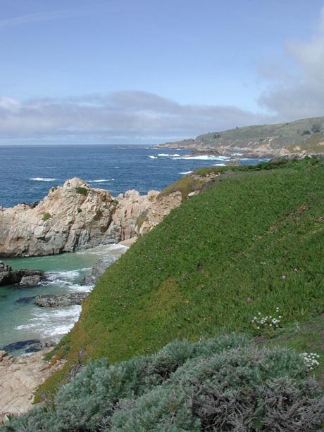 Coastline6
