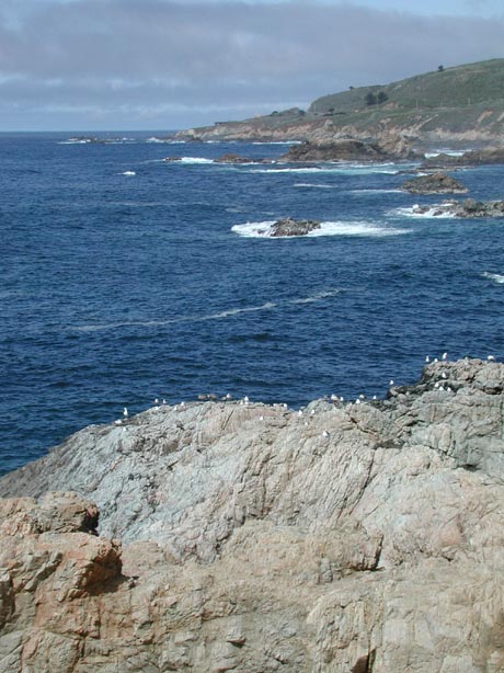 Coastline8