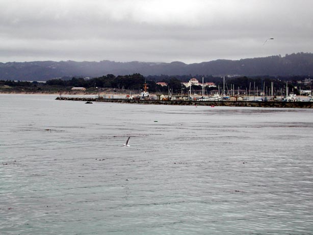 MontereyHarbor