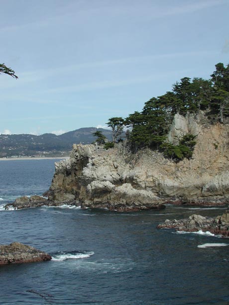 PointLobos10