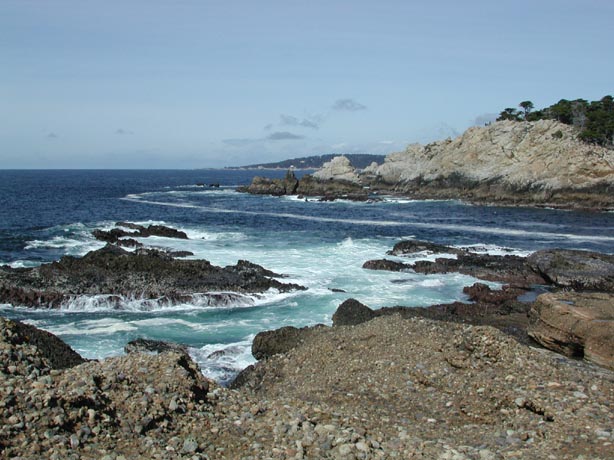 PointLobos3