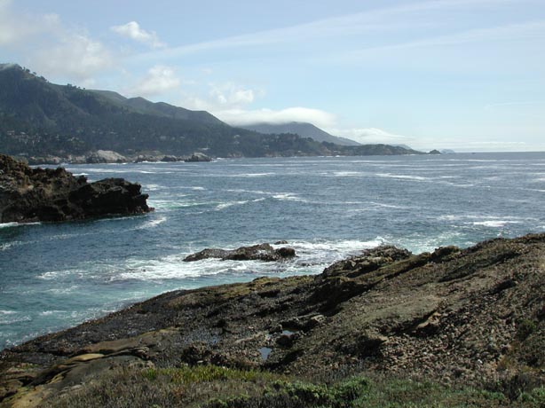 PointLobos4