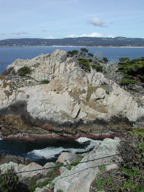 PointLobos7