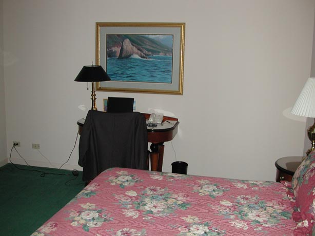 RoomatHotel2