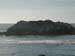 Cormorants5