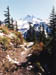 MtJefferson