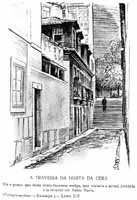 Pereg-58.jpg (11853 bytes)