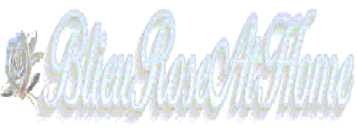 Web Site filled with loads of stuff! Holidays, Games, and an Online Mall are all part of this site! 