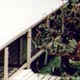 FARNSWORTH HOUSE