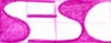 SESC estudo para o novo logo