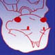 Zine Tsuol