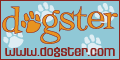 Maddie Moo's Dogster Page