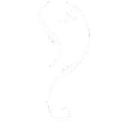 Kaavin Consultants Logo
